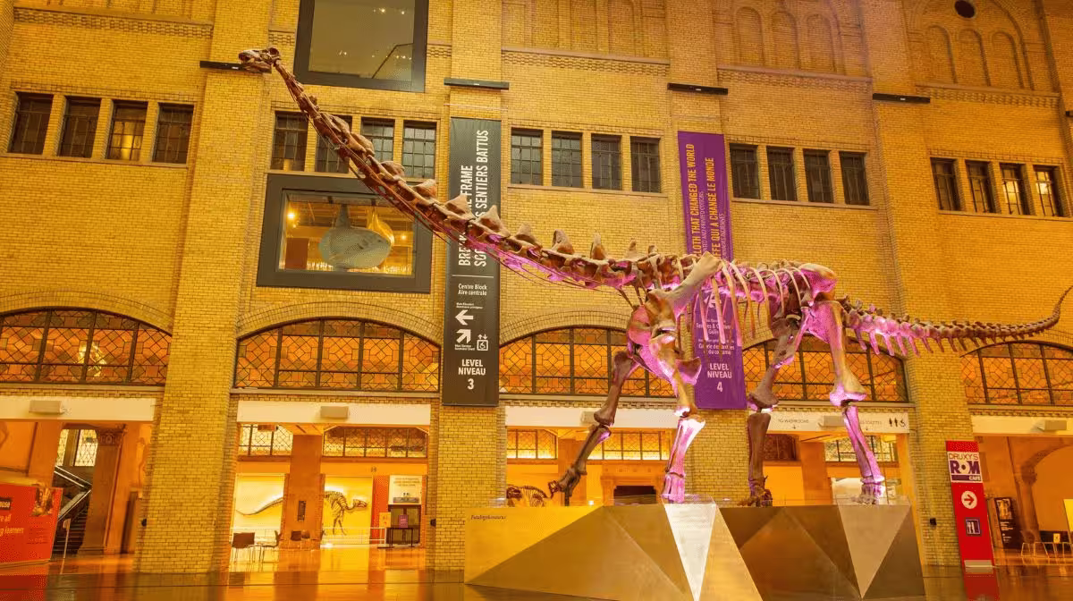 Dinosaur fossil skeleton at the Royal Ontario Museum