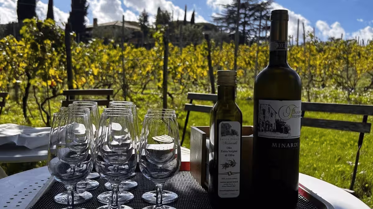 Half-day Frascati wine and farmhouse lunch tour
