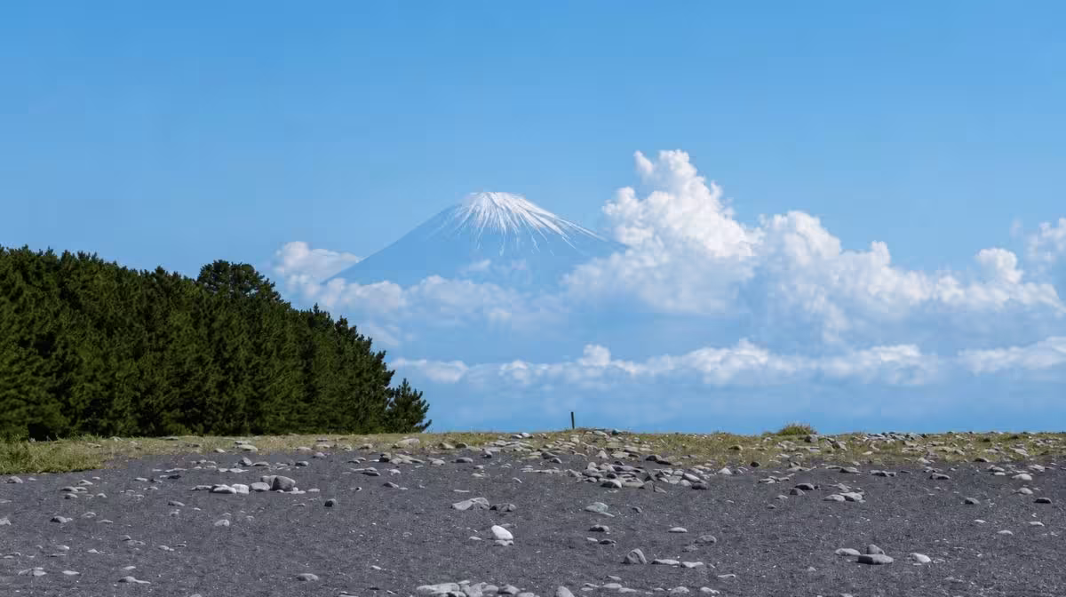 Mount Fuji breaking through the clouds over Miho no Matsubara, our own photo
