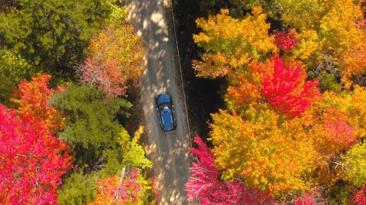 Route 100 winding through fall foliage in Vermont
