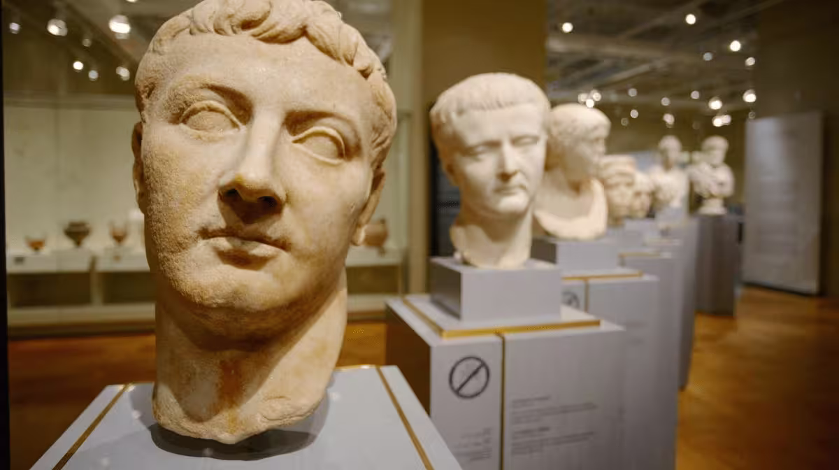Interior gallery exhibit at the Royal Ontario Museum